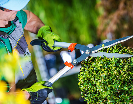 Service Gartenpflege in Aschaffenburg