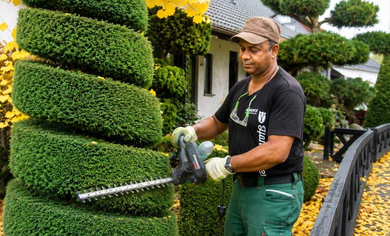 Allgemeine Gartenpflege in Aschaffenburg und Umgebung