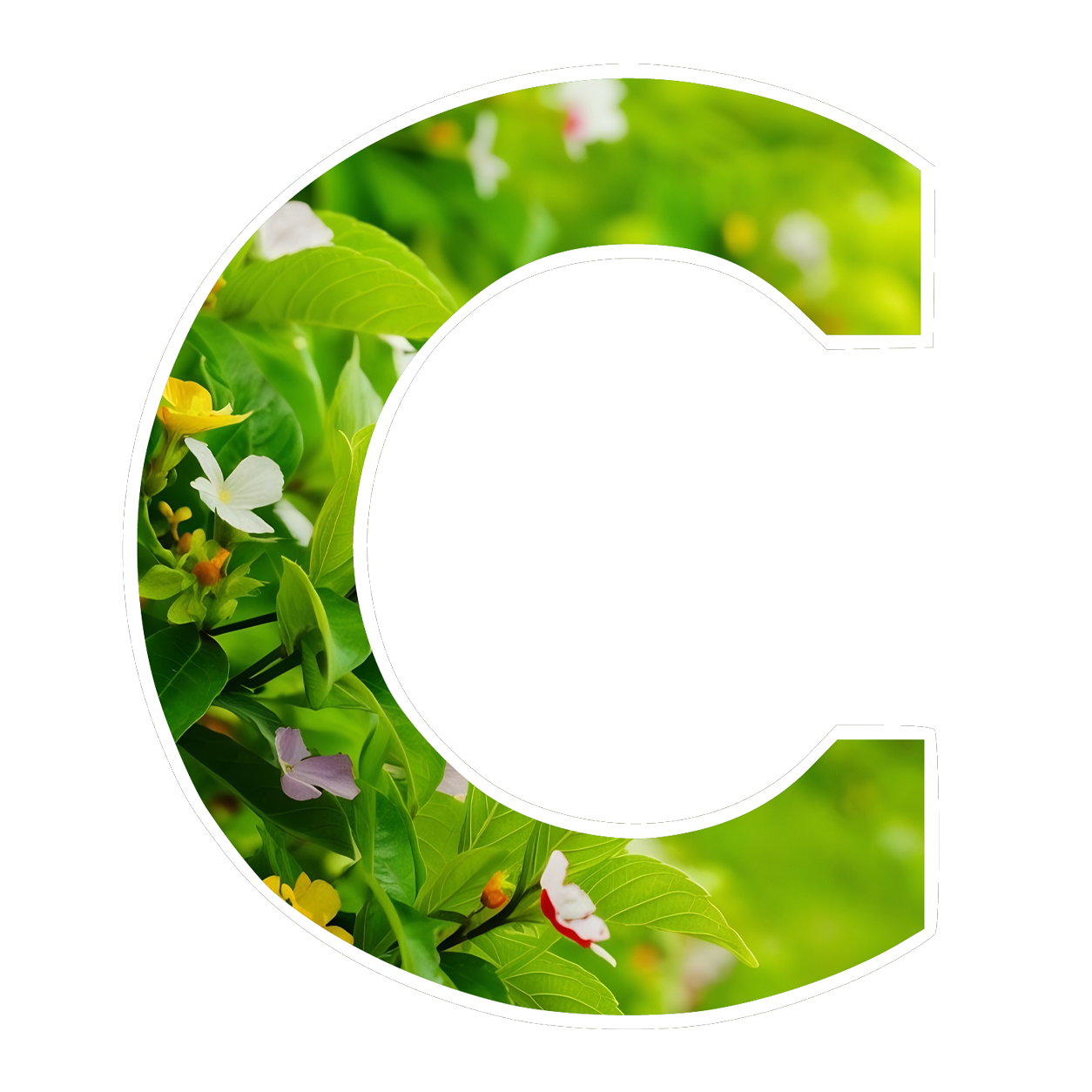 Logo C