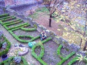 Schloss Aschaffenburg - Gartenpflege
